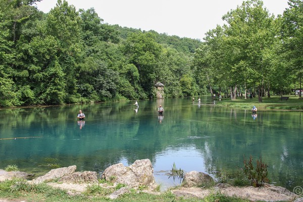 Trout Fishing at Bennett Springs State Park #2