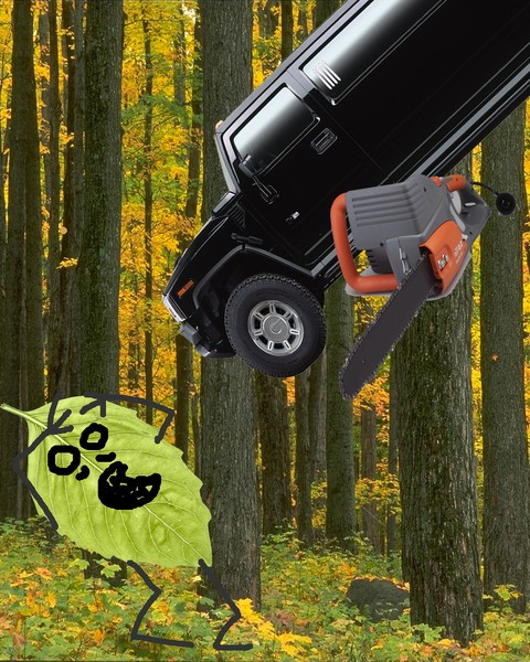 Digital Art - Will age 14