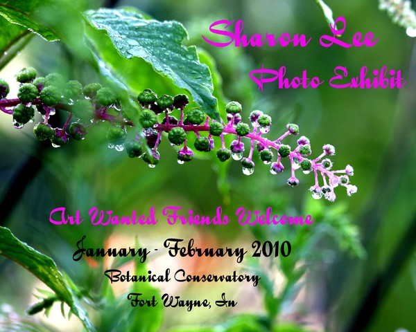 My very First Photo Exhibit