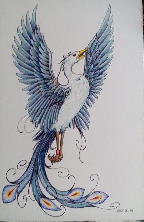 Bird for Tattoo