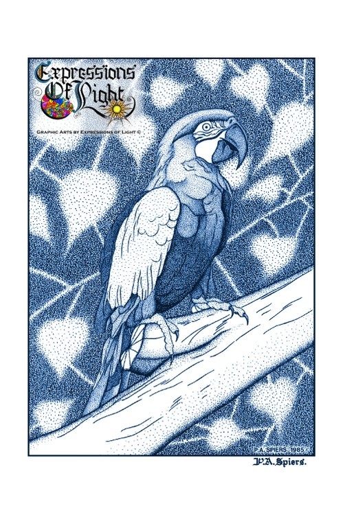 ExpoLight-Graphic-Arts-Parrot-1985-0001 (Pen-&-Ink-Blue-Sepia-SP)