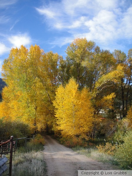 Fall Foilage Sept 2011 My camera 051