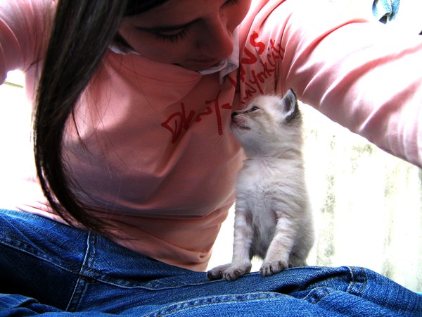 le petit