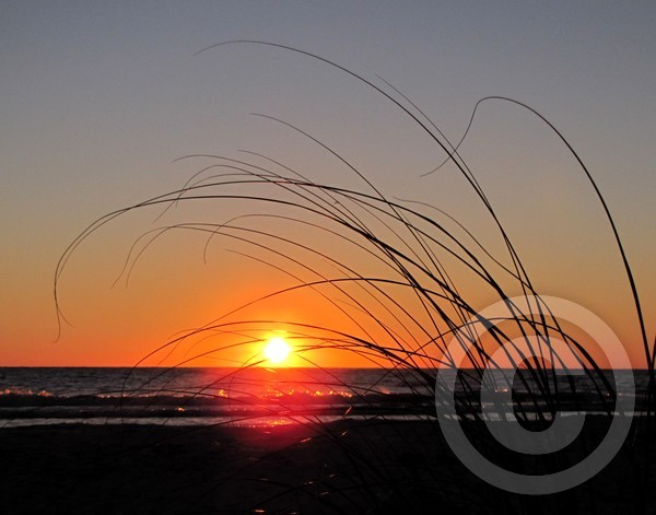 Gulf Sunset 1