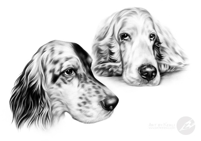 Bailey & Willy