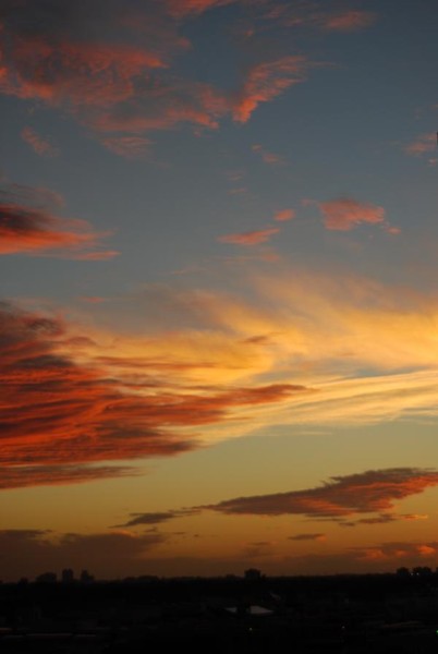 Miami Sunset