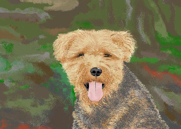 Tucker, the Welsh Terror