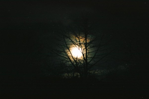 Moon at Night