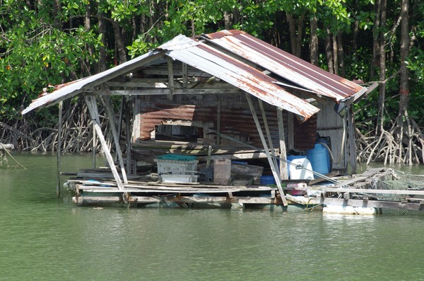 Thai's Home