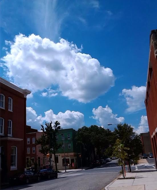 City Streets Scene