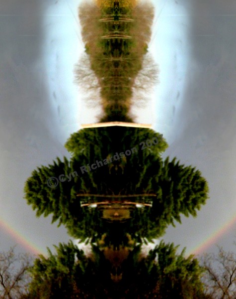 Reflection on Major Teddy