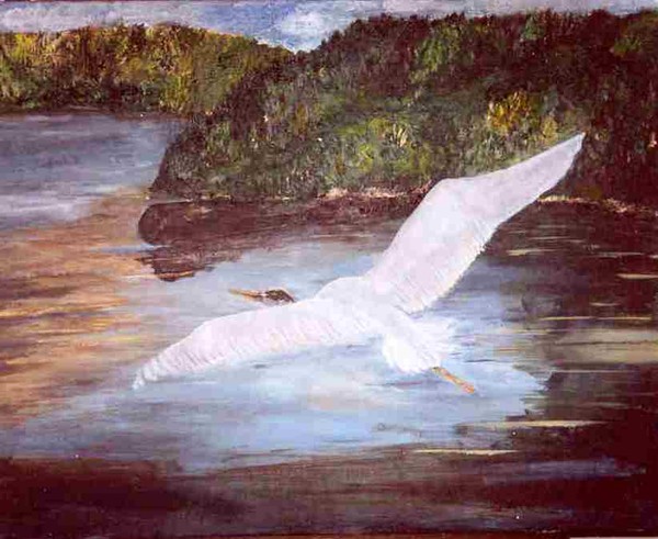 GLIDING HOME