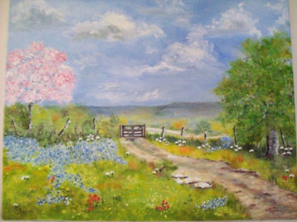 Texas Hill Country spring