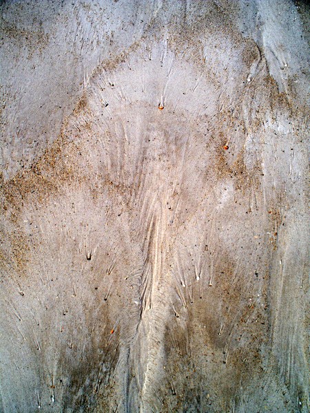 abstract sand