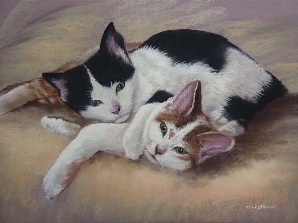 Kittens