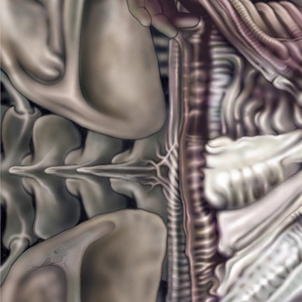 Detail 2 from PANDORAS' DANCE