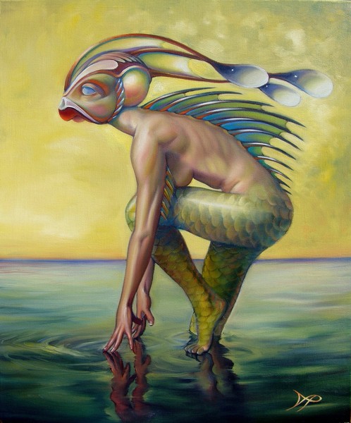 THE FINANDROMORPH