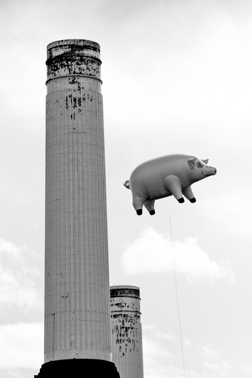 Pink Floyd Pig at Battersea Power Station