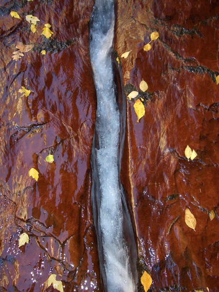 Small stream