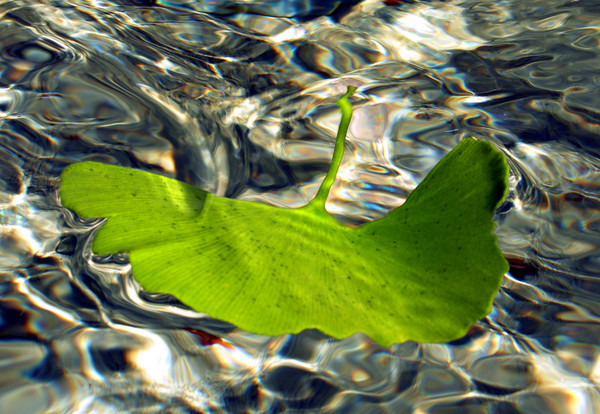 Floating Away