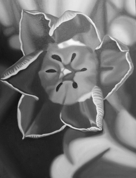 Flower Study