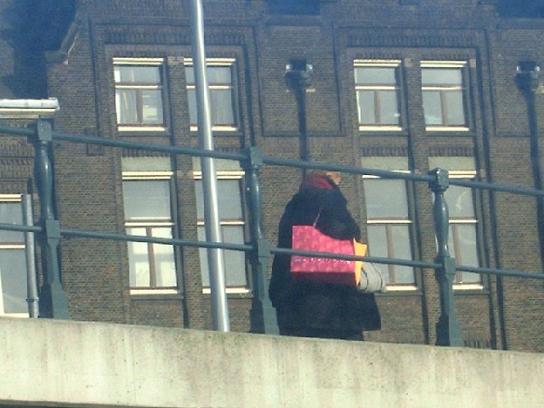 The Pink Purse