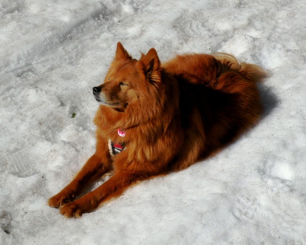 Cindy Loves the Sun