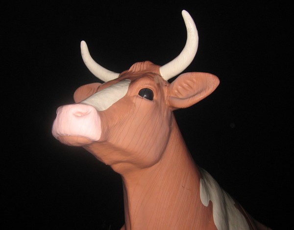 Cow Three