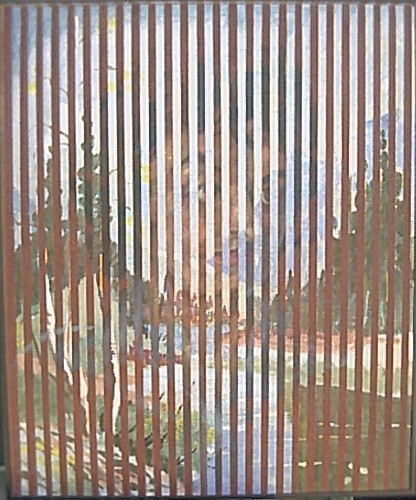 MOUNTAIN SIREN