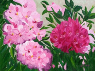 Fluffy Rhodedendrons