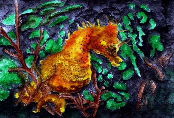 Seahorse