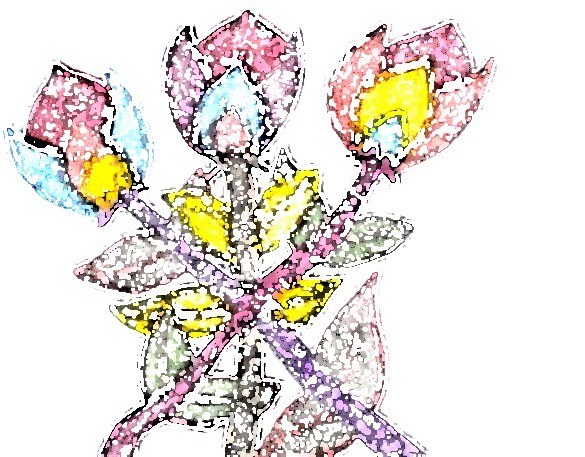 Fleurs 036