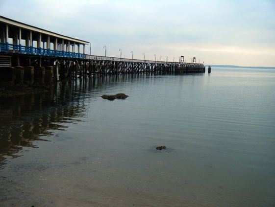 Pier