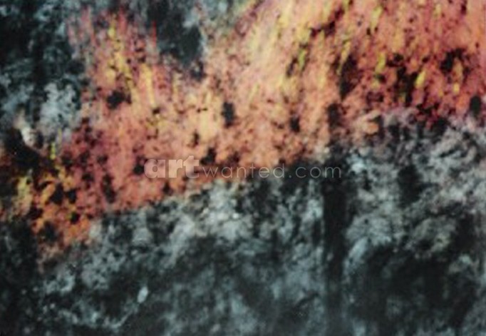 Raging  Bush Fires