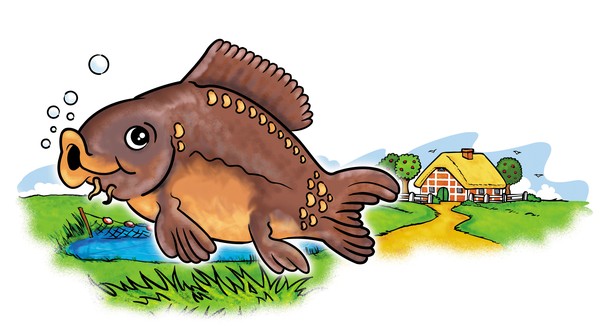 Carp