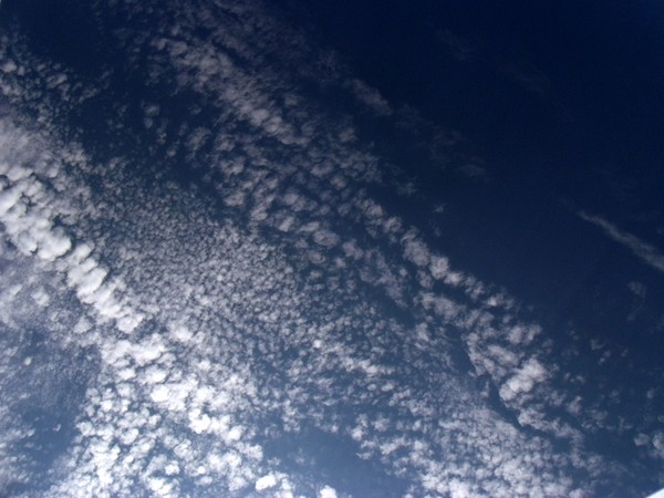 Cloud spree 6
