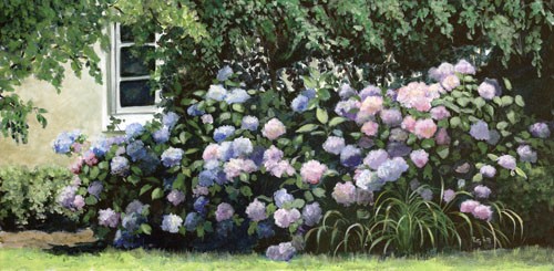 Alabama Hydrangeas