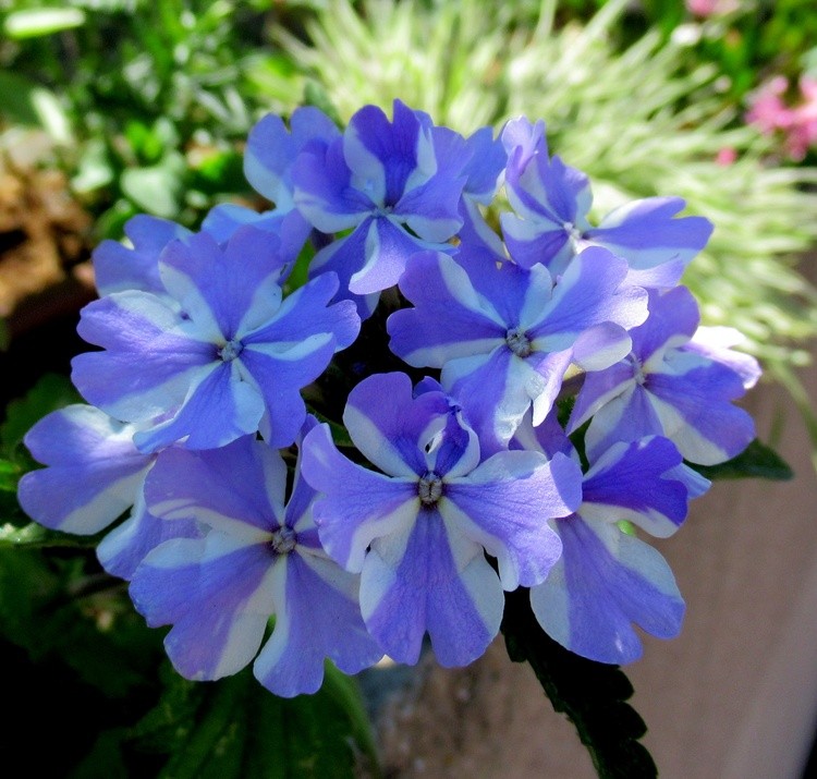 ENJOY YOUR DAY!