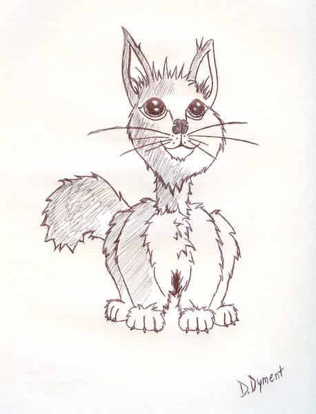 Cat