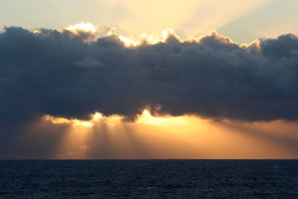 Into The Light