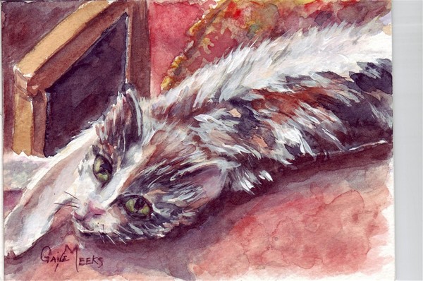Kitty lazy