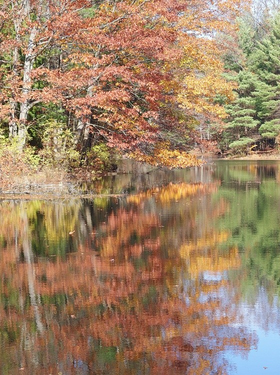 Much to reflect