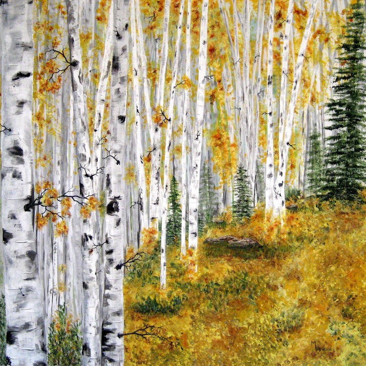 The Aspen Grove