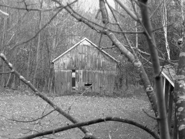 Still Standing