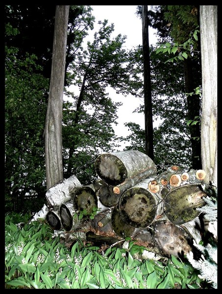 Log Pile
