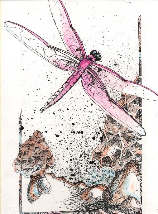 Dragonfly and Morrell