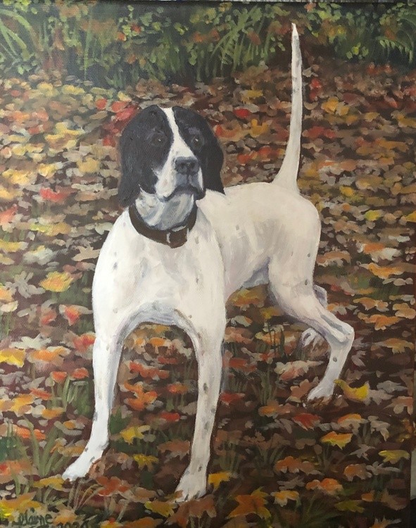 The hunting dog
