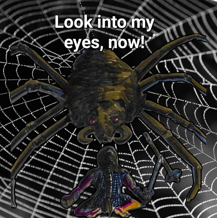 Spider vs