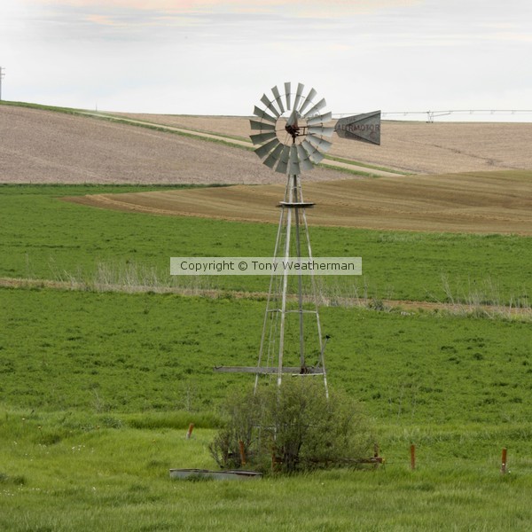 Square Forman Nebraska Windmill, ne1080