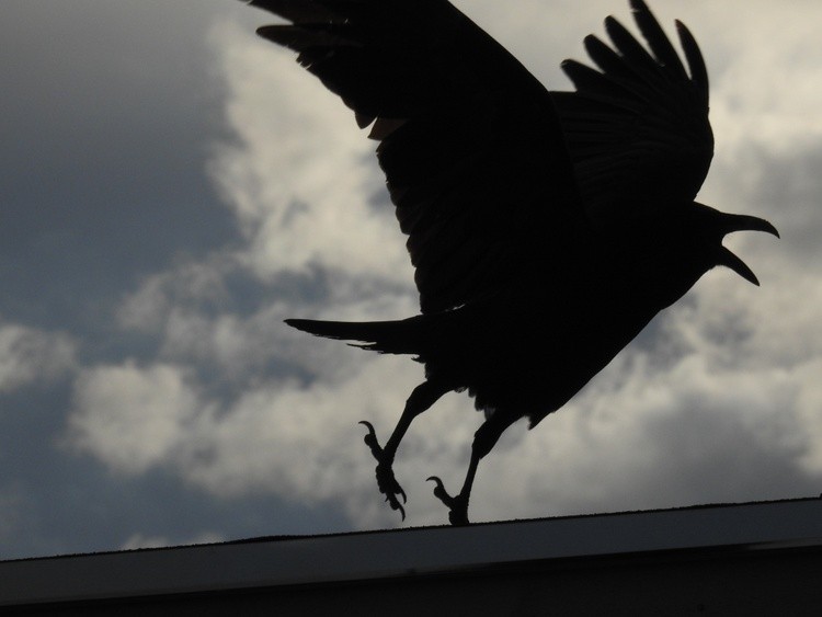 Take Off